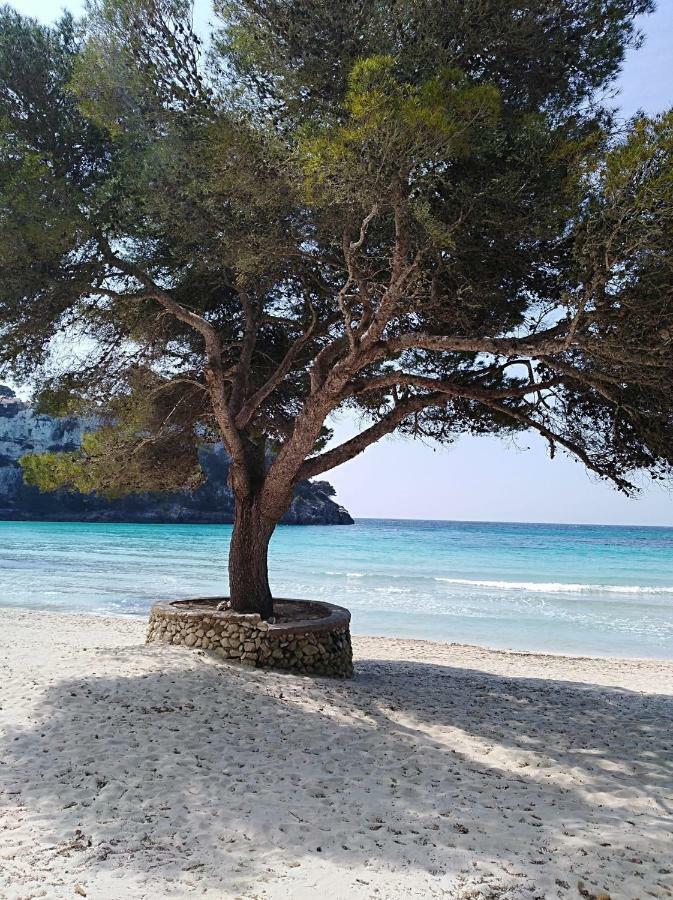 Garbí&Xaloc apartamentos Cala Galdana  Exterior foto